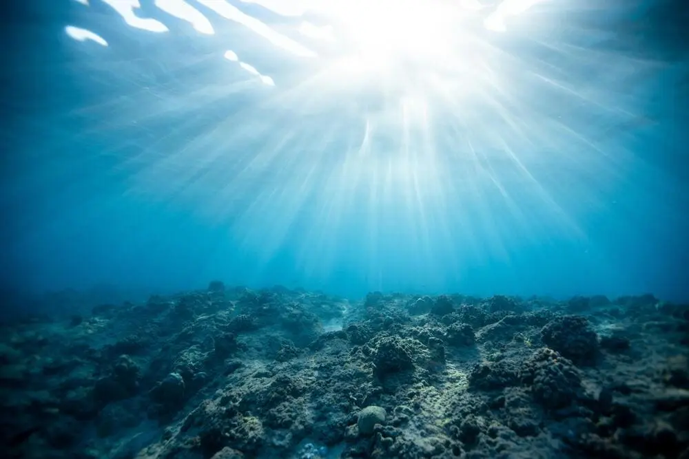 Observatoire de la biodiversité marine